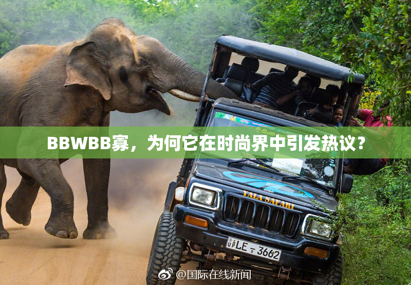 BBWBB寡，为何它在时尚界中引发热议？