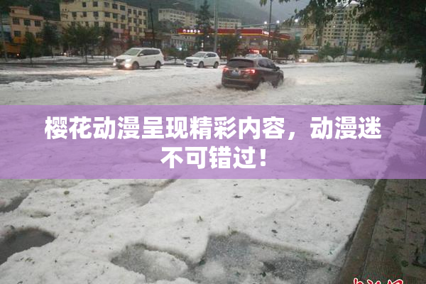 樱花动漫呈现精彩内容，动漫迷不可错过！