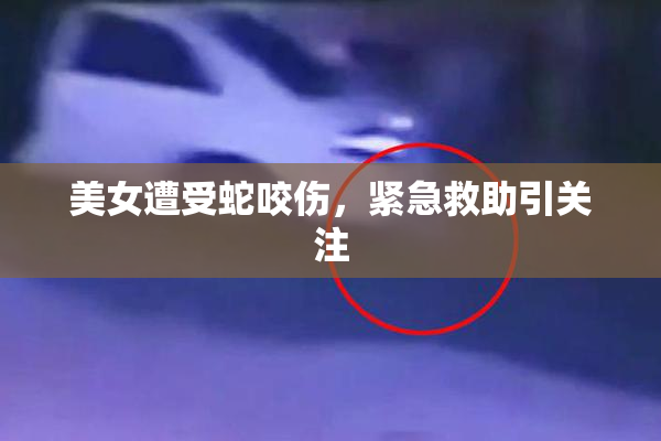 美女遭受蛇咬伤，紧急救助引关注