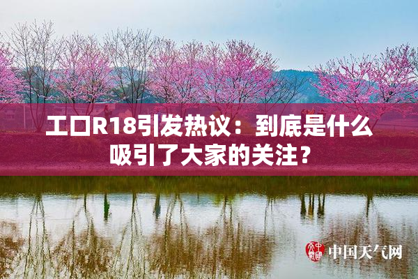 工口R18引发热议：到底是什么吸引了大家的关注？