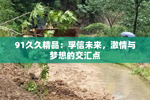 91久久精品：孚信未来，激情与梦想的交汇点