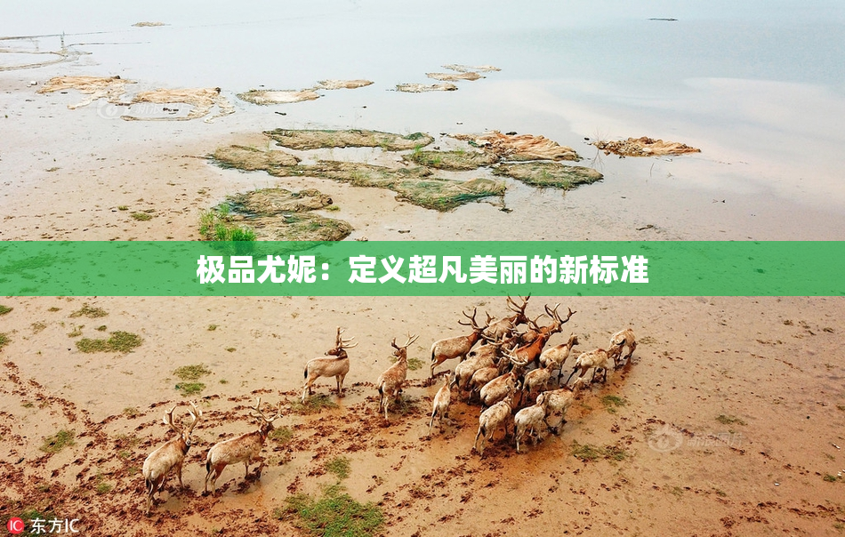 极品尤妮：定义超凡美丽的新标准