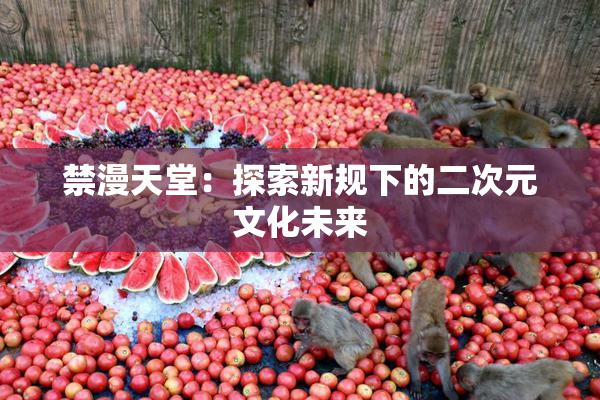 禁漫天堂：探索新规下的二次元文化未来