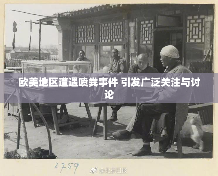 欧美地区遭遇喷粪事件 引发广泛关注与讨论