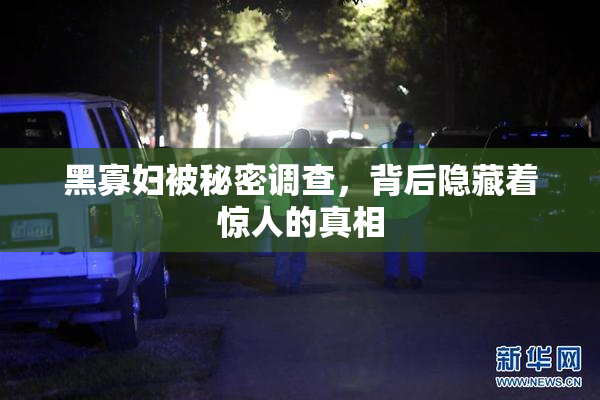 黑寡妇被秘密调查，背后隐藏着惊人的真相