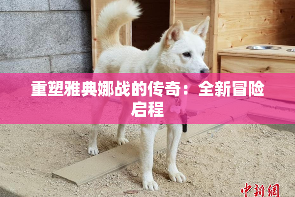 重塑雅典娜战的传奇：全新冒险启程