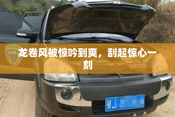 龙卷风被惊吟到爽，刮起惊心一刻