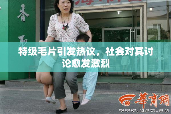 特级毛片引发热议，社会对其讨论愈发激烈