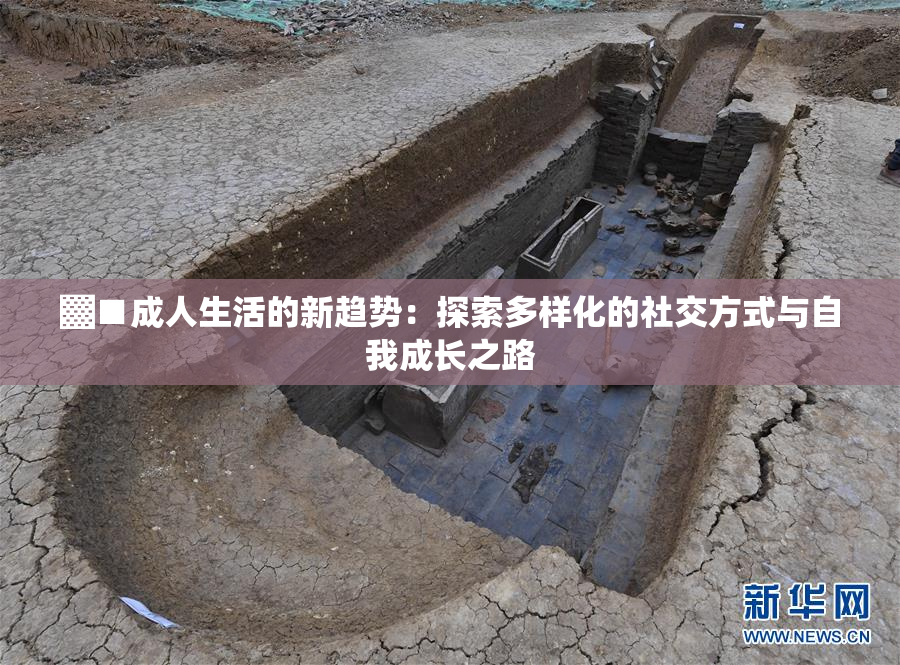 ▓■成人生活的新趋势：探索多样化的社交方式与自我成长之路