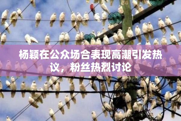 杨颖在公众场合表现高潮引发热议，粉丝热烈讨论
