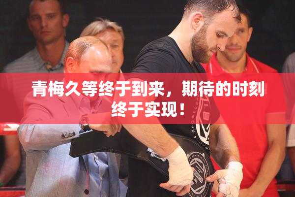 青梅久等终于到来，期待的时刻终于实现！