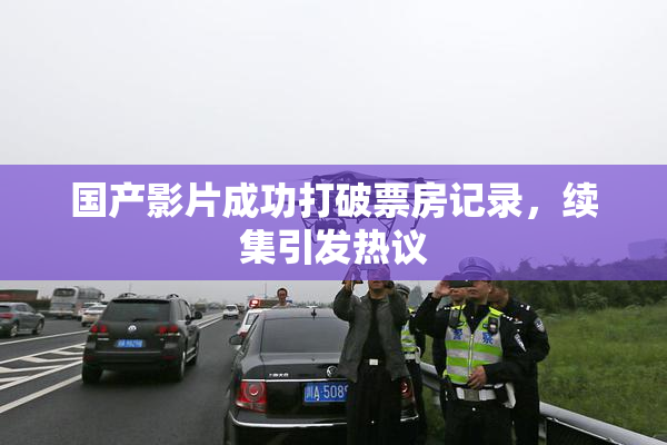 国产影片成功打破票房记录，续集引发热议