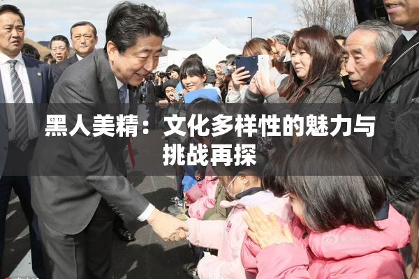 黑人美精：文化多样性的魅力与挑战再探