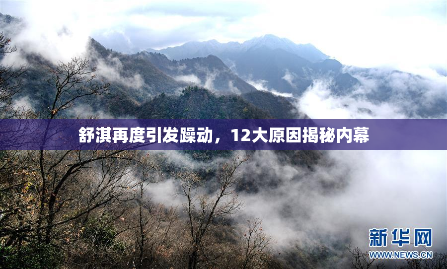 舒淇再度引发躁动，12大原因揭秘内幕