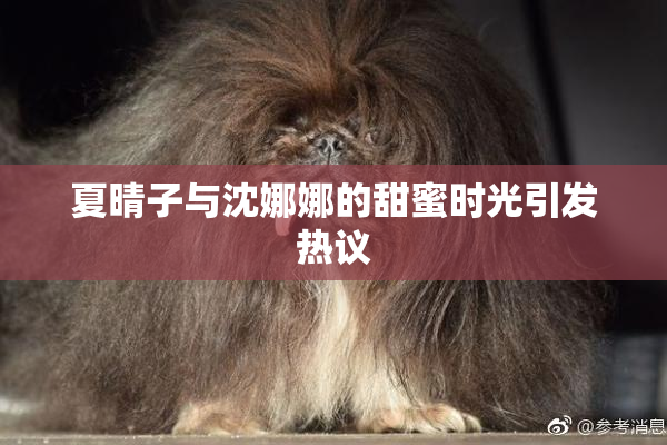 夏晴子与沈娜娜的甜蜜时光引发热议