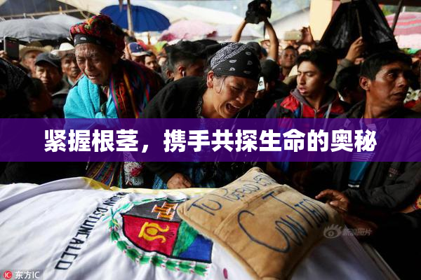 紧握根茎，携手共探生命的奥秘