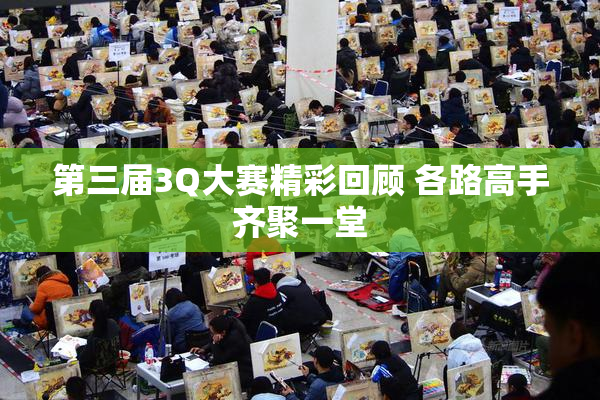 第三届3Q大赛精彩回顾 各路高手齐聚一堂