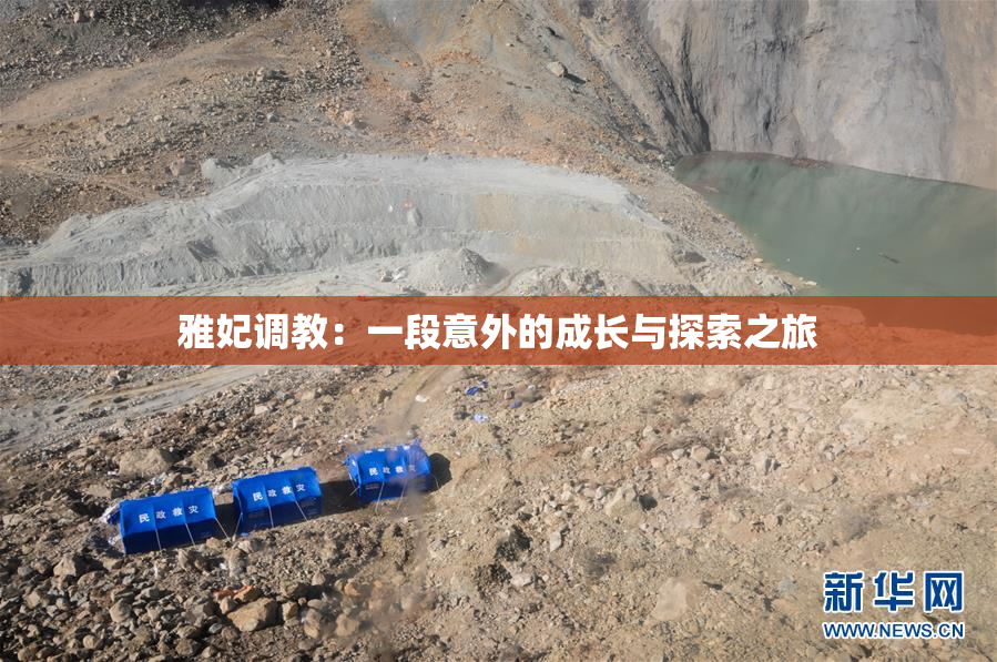 雅妃调教：一段意外的成长与探索之旅