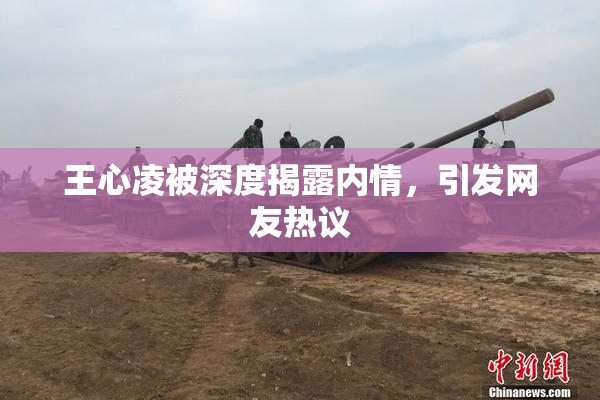 王心凌被深度揭露内情，引发网友热议