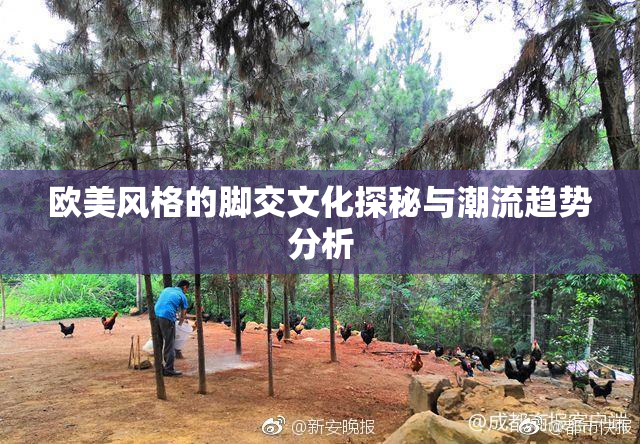 欧美风格的脚交文化探秘与潮流趋势分析