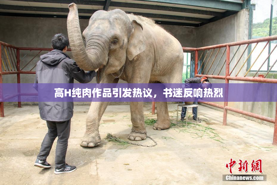 高H纯肉作品引发热议，书迷反响热烈