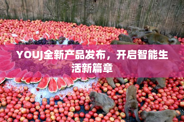 YOUJ全新产品发布，开启智能生活新篇章