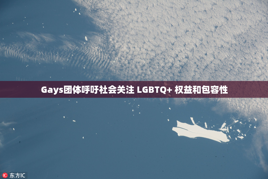 Gays团体呼吁社会关注 LGBTQ+ 权益和包容性