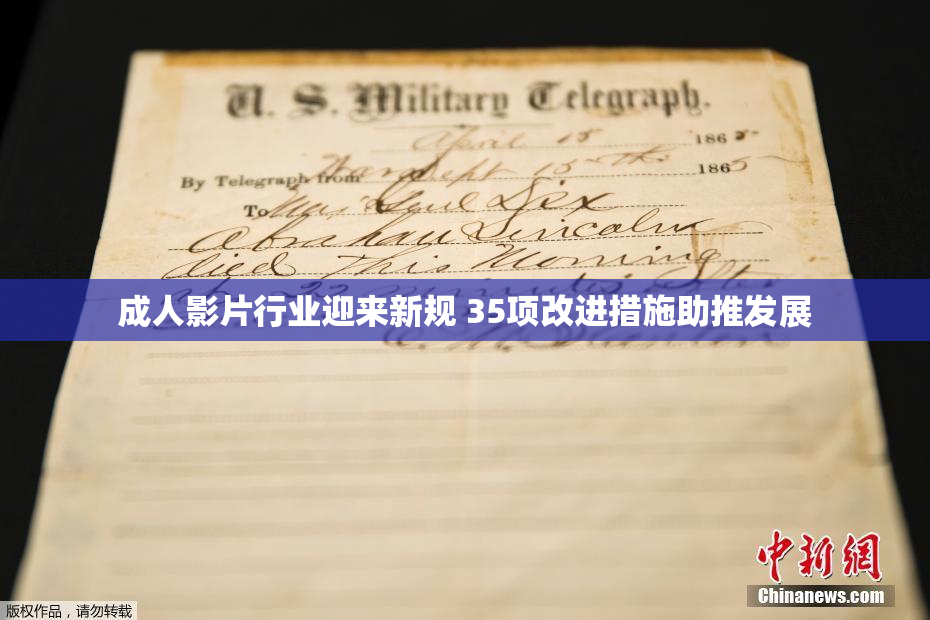 成人影片行业迎来新规 35项改进措施助推发展