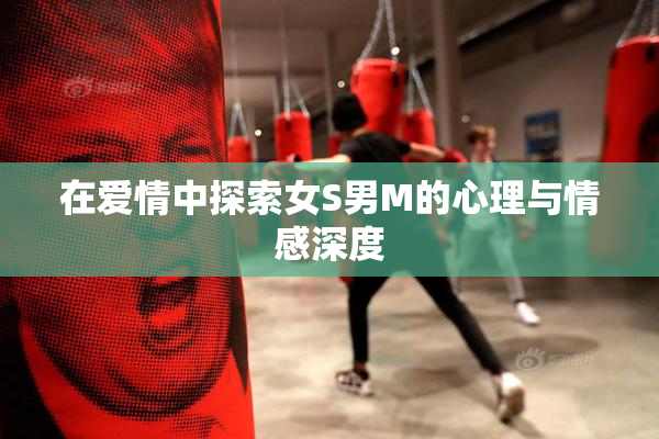 在爱情中探索女S男M的心理与情感深度