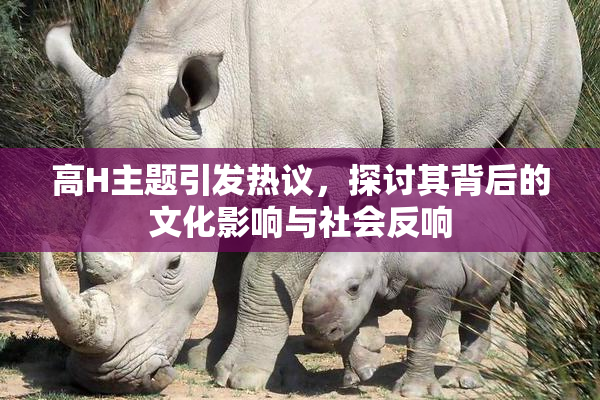 高H主题引发热议，探讨其背后的文化影响与社会反响