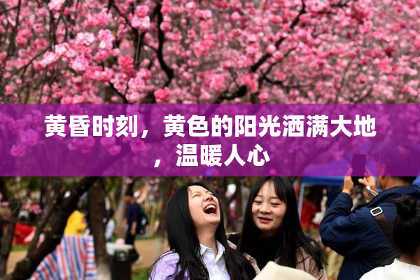 黄昏时刻，黄色的阳光洒满大地，温暖人心