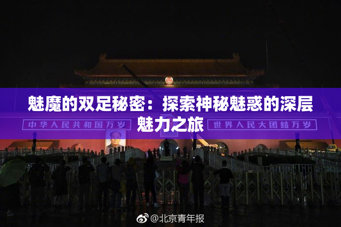 魅魔的双足秘密：探索神秘魅惑的深层魅力之旅