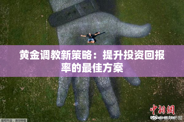 黄金调教新策略：提升投资回报率的最佳方案