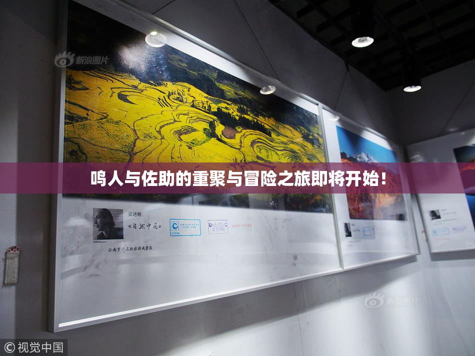 鸣人与佐助的重聚与冒险之旅即将开始！