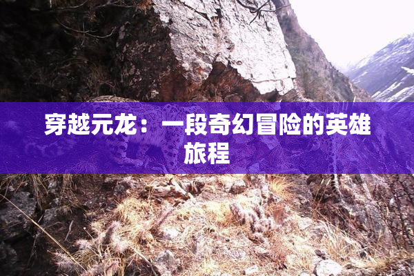 穿越元龙：一段奇幻冒险的英雄旅程
