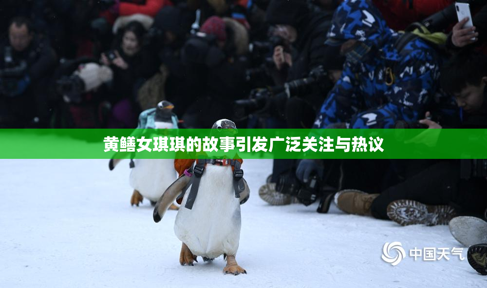 黄鳝女琪琪的故事引发广泛关注与热议