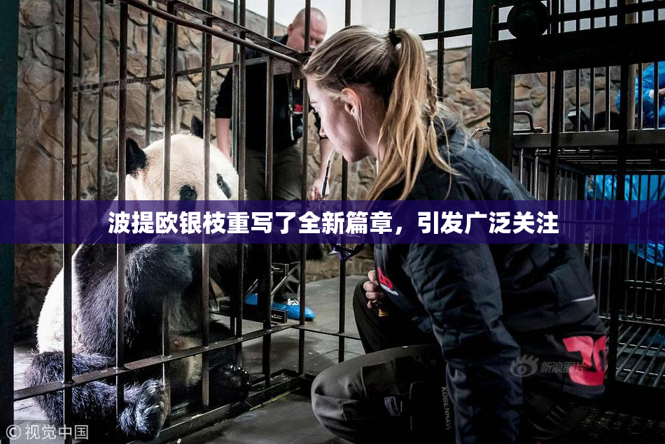 波提欧银枝重写了全新篇章，引发广泛关注