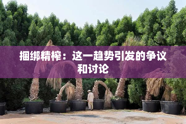捆绑精榨：这一趋势引发的争议和讨论