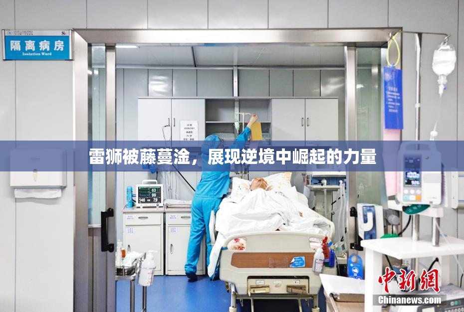 雷狮被藤蔓淦，展现逆境中崛起的力量