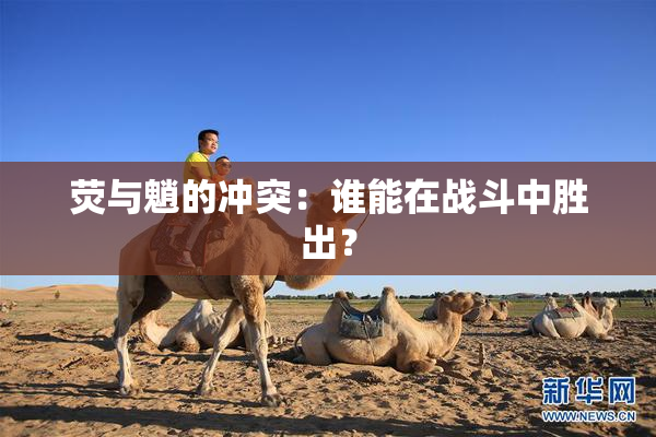 荧与魈的冲突：谁能在战斗中胜出？
