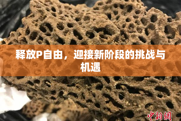 释放P自由，迎接新阶段的挑战与机遇