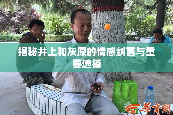 揭秘井上和灰原的情感纠葛与重要选择