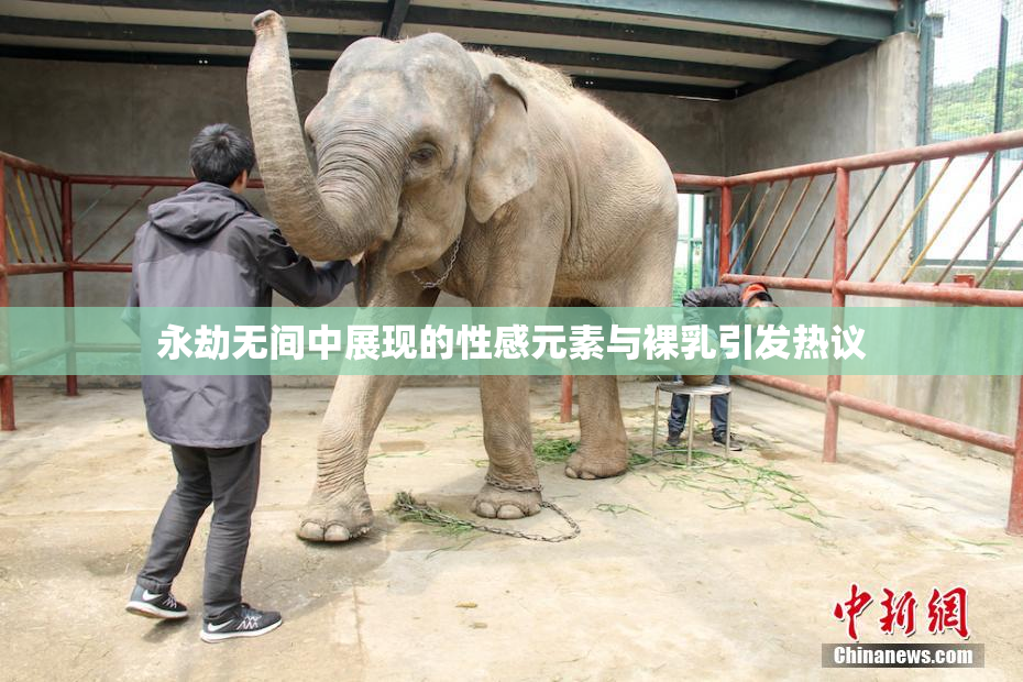 永劫无间中展现的性感元素与裸乳引发热议