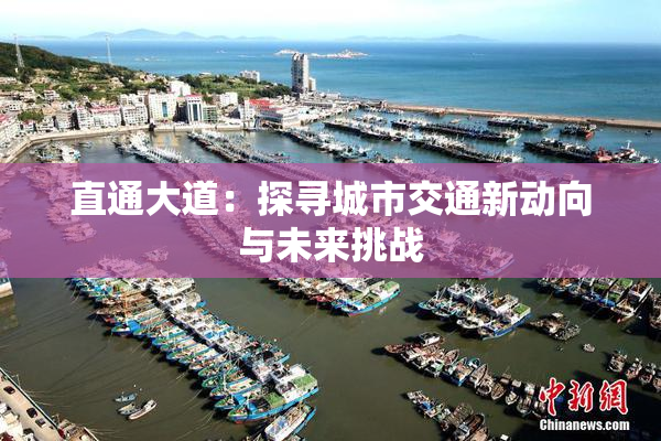 直通大道：探寻城市交通新动向与未来挑战