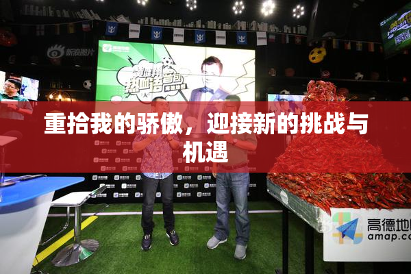 重拾我的骄傲，迎接新的挑战与机遇
