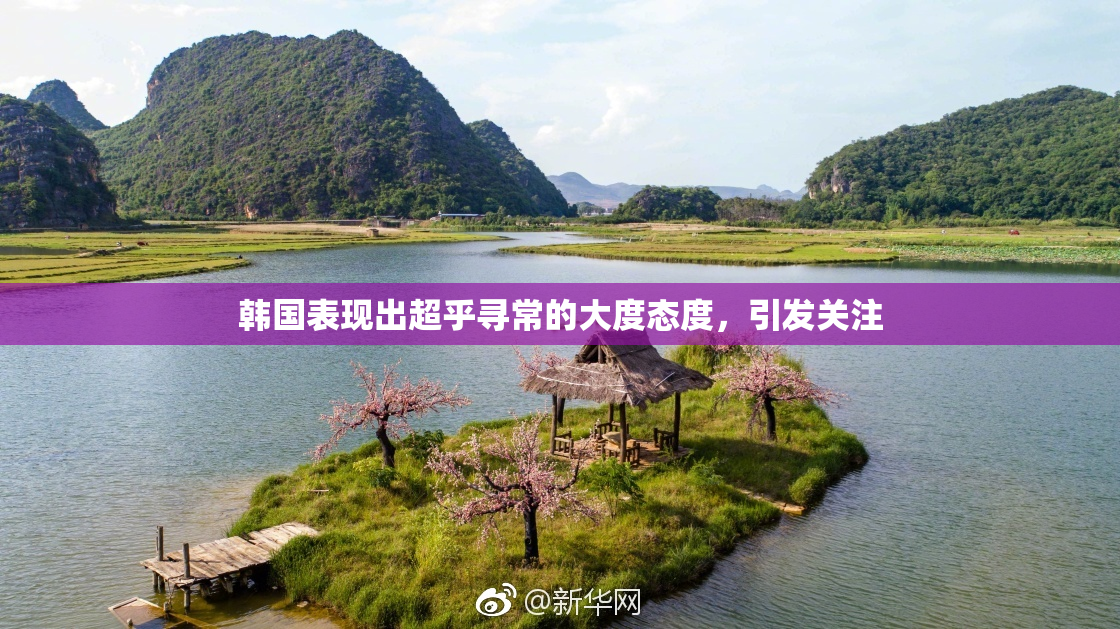 韩国表现出超乎寻常的大度态度，引发关注