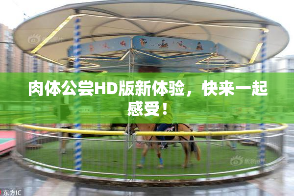 肉体公尝HD版新体验，快来一起感受！