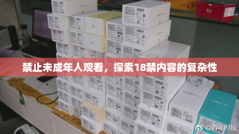 禁止未成年人观看，探索18禁内容的复杂性