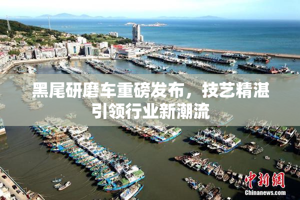 黑尾研磨车重磅发布，技艺精湛引领行业新潮流