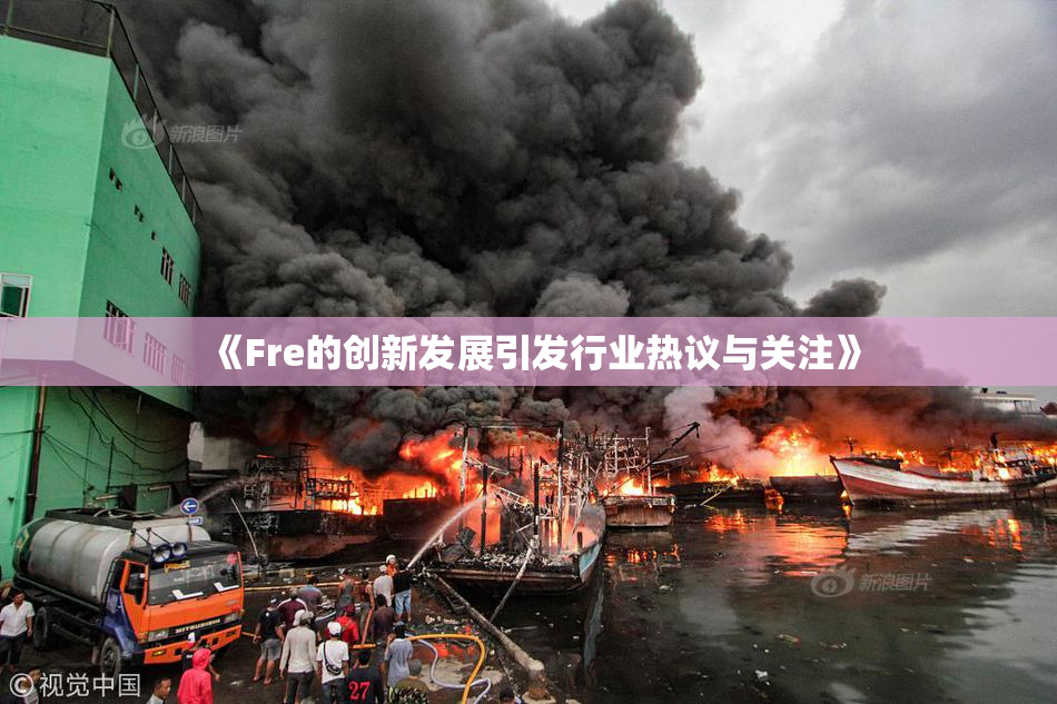 《Fre的创新发展引发行业热议与关注》